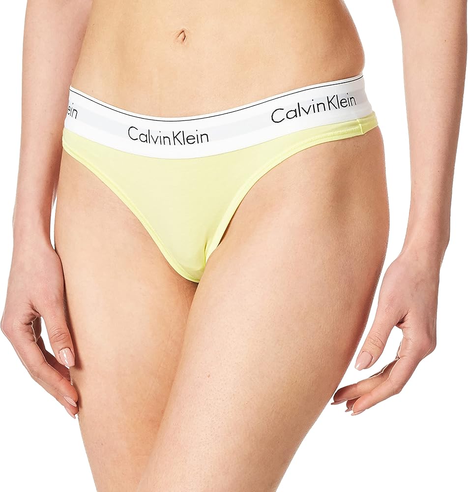 Calvin Klein Women’s Modern Cotton Stretch Thong Panties